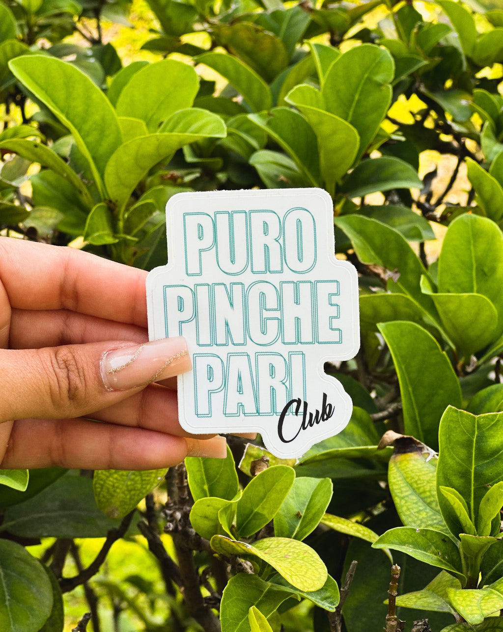 PURO PINCHE PARI CLUB STICKER