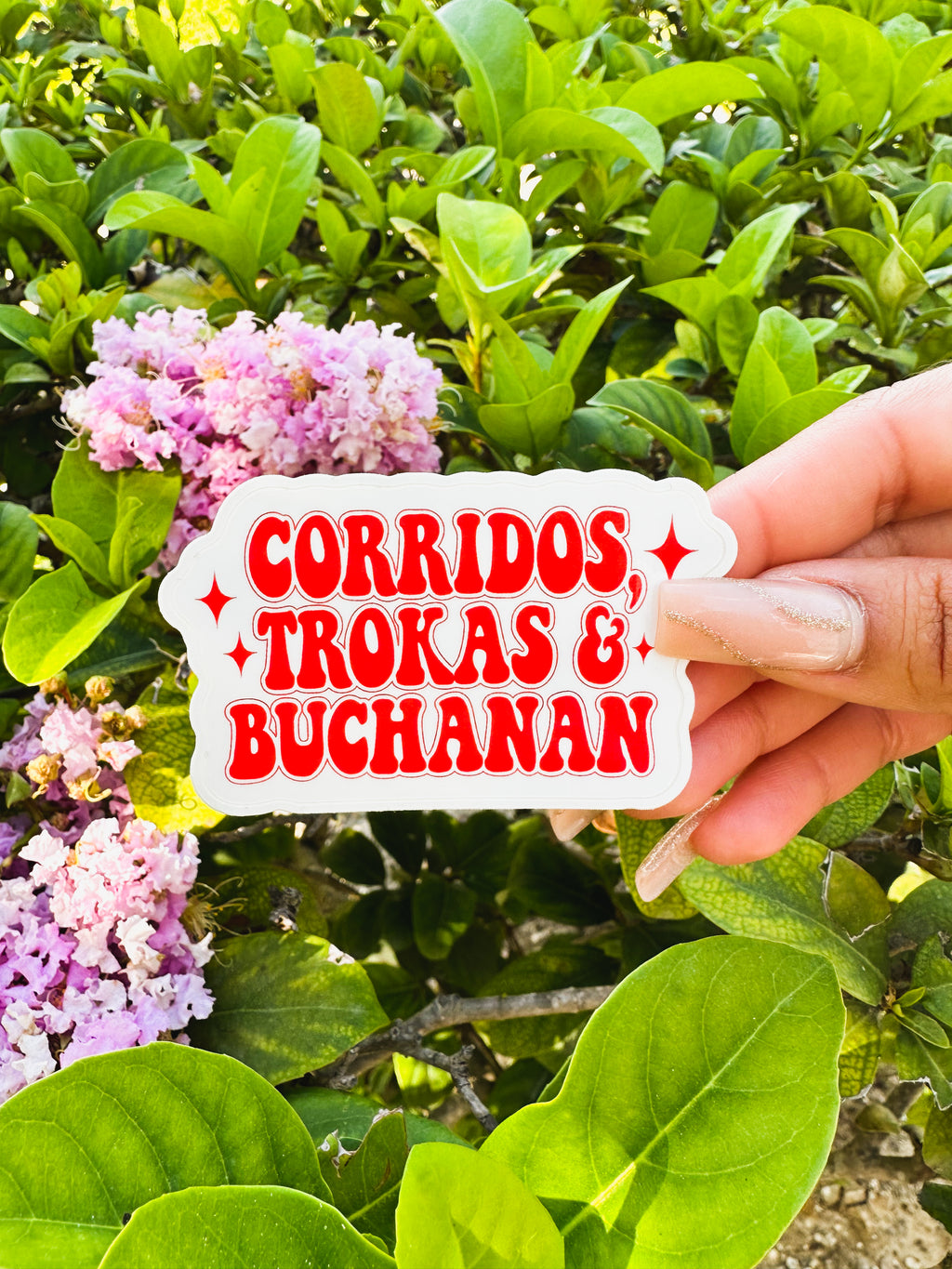 CORRIDOS TROKAS & BUCHANAN STICKER