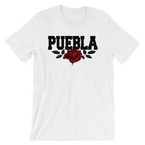 PUEBLA™